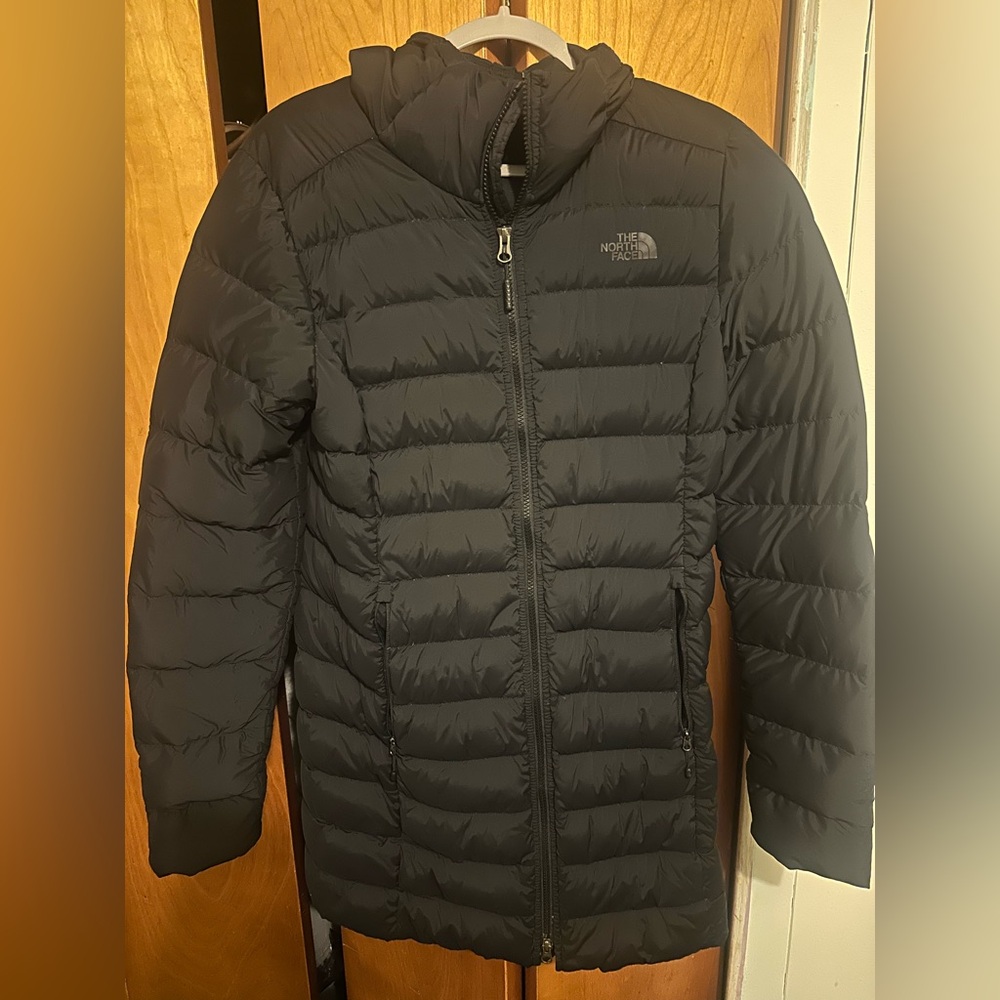 The North Face Black Puffer Jacket with Hood